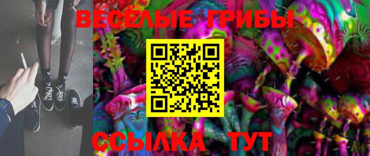 Галлюциногенные грибы GOLDEN TEACHER  Псилоцибиновые грибы Psilocybe  Вход с VPN  Великий Новгород 