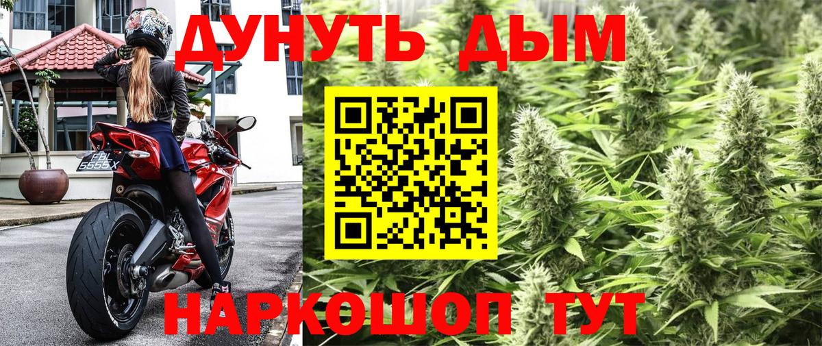 Конопля OG Kush Великий Новгород
